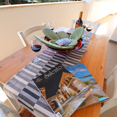 Torre Santo Stefano - Accommodation:&nbsp;Primitivo di Manduria: Balcony / Terrace / Patio, Outdoor