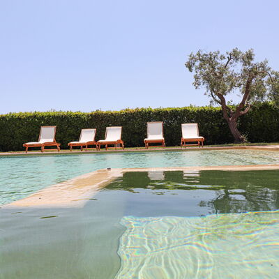Torre Santo Stefano - Accommodation:&nbsp;Locorotondo: Pool