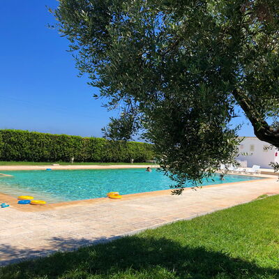 Torre Santo Stefano - Accommodation:&nbsp;Nero D'Avola: Pool