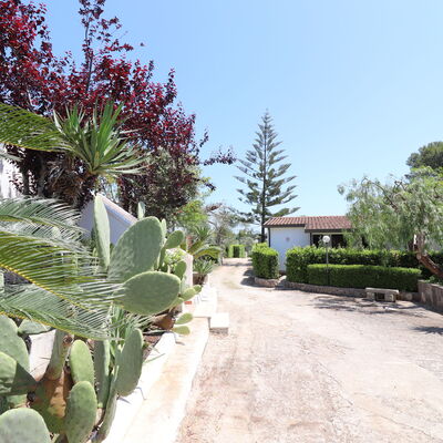 Torre Santo Stefano - Logement:&nbsp;Cabernet: Extérieurs