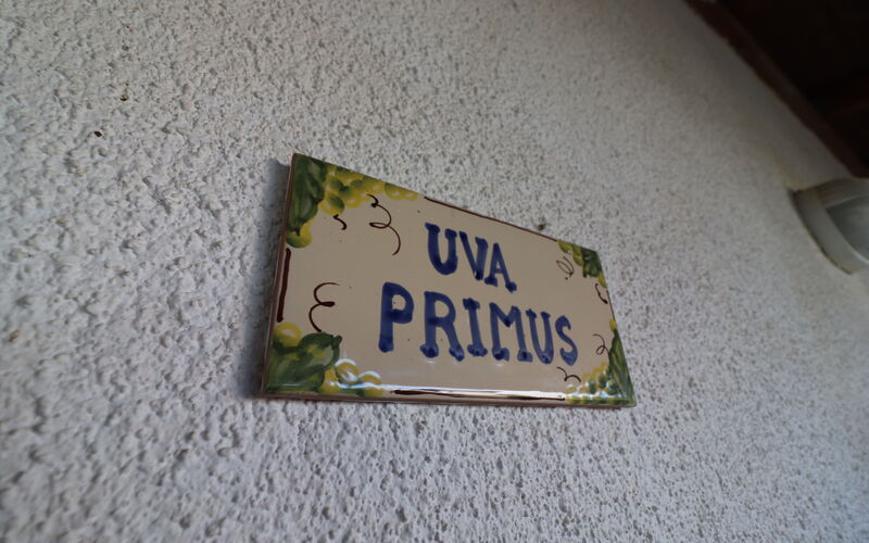 Torre Santo Stefano - Alloggio:&nbsp;Primus: Entrata Principale