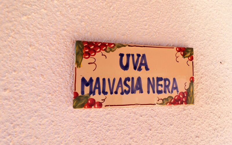Torre Santo Stefano - Logement:&nbsp;Malvasia Nera: Entrée principale