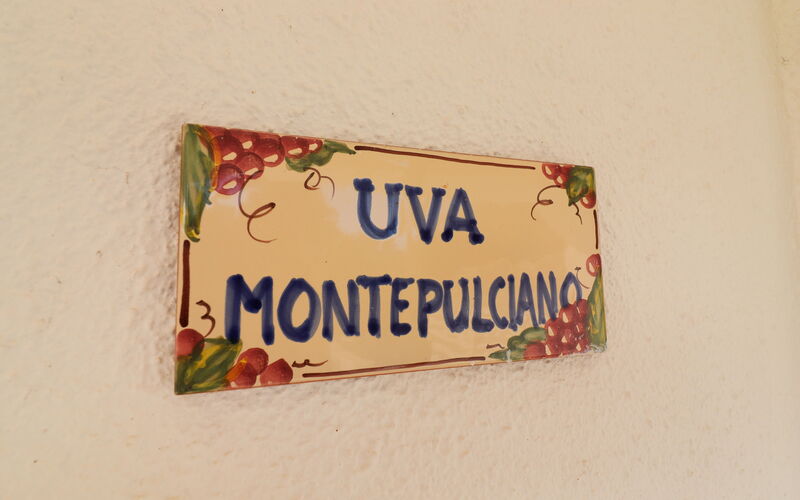 Torre Santo Stefano - Alloggio:&nbsp;Montepulciano: Entrata Principale