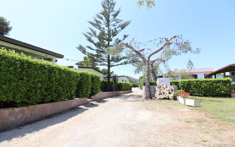 Torre Santo Stefano - Logement:&nbsp;Cabernet: Extérieurs