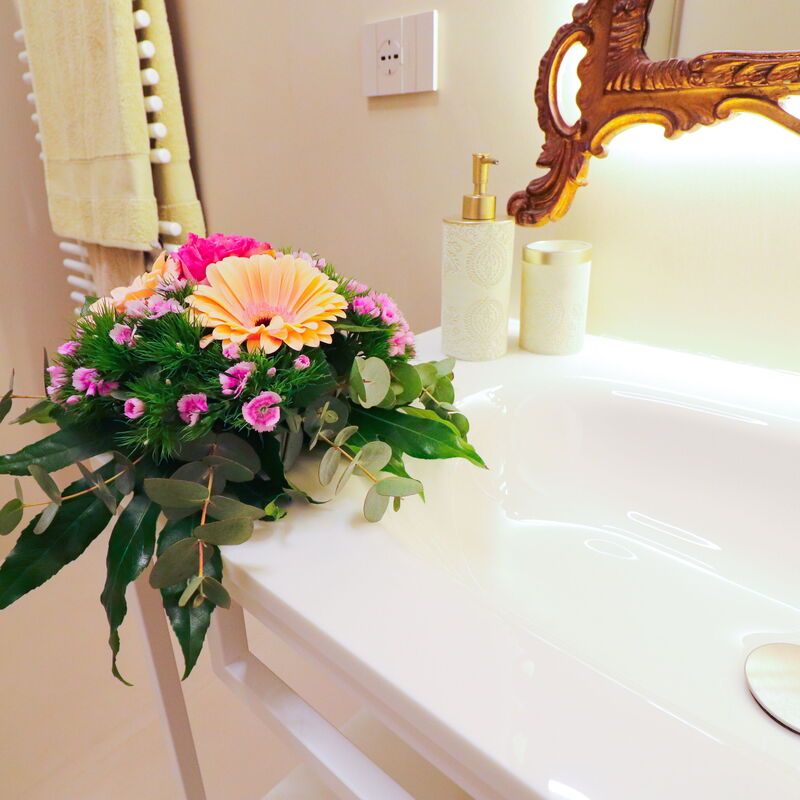 Bacchus: Historic Charming Home