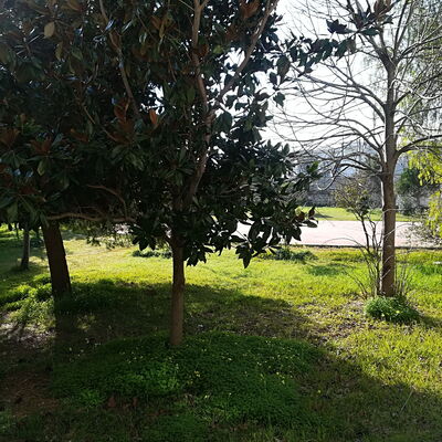 Noemi'S House in Otranto: Esterni