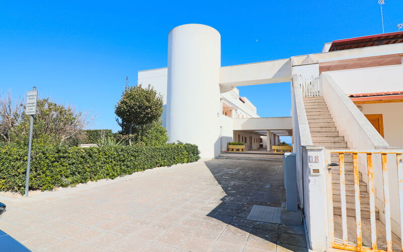 Aisha: Building Exterior