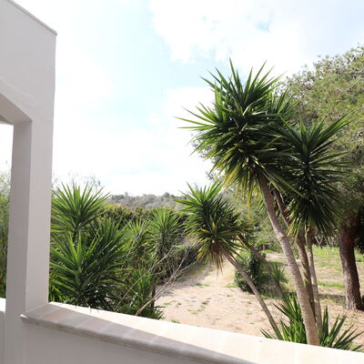 Villa Camilla Otranto: Esterni